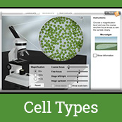 Cell Types Gizmo